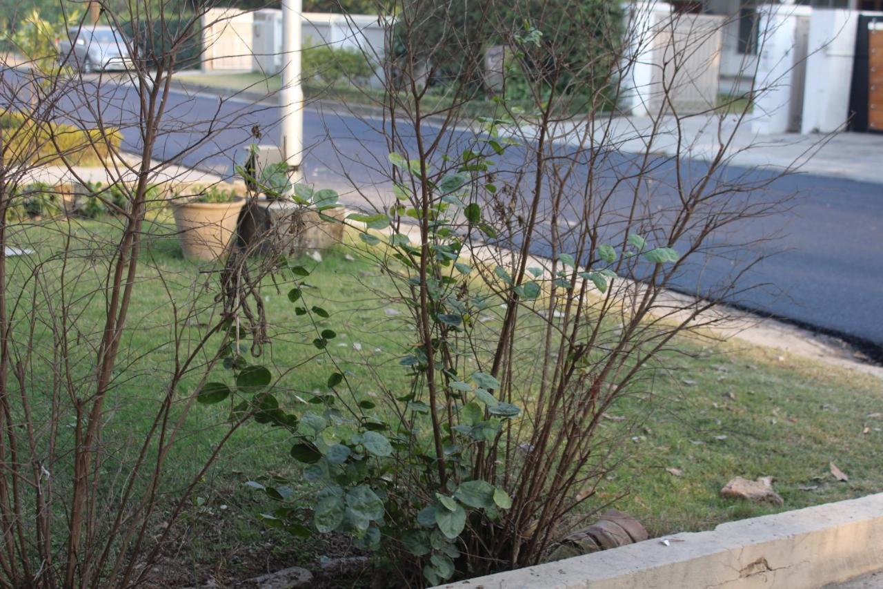 Royal Luxus Guest House Islamabad Zewnętrze zdjęcie